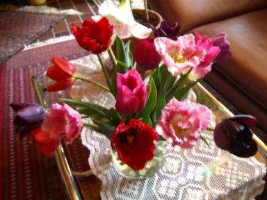 Gefranste Tulpen